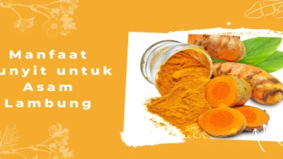 3 Manfaat Kunyit Untuk Asam Lambung