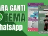 3 Cara Mengganti Tema WhatsApp 2023