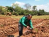 Jaga Ketahanan Pangan dengan Beternak dan Berkebun