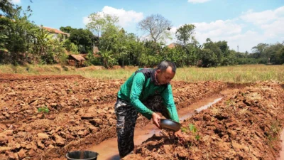 Jaga Ketahanan Pangan dengan Beternak dan Berkebun