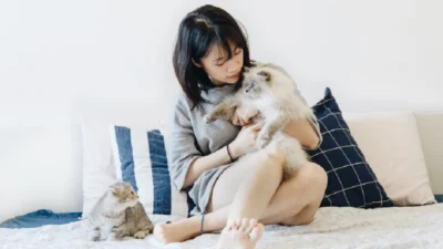 Harga Dry Food Kucing 2023, foto kucing dan pemilik via Unsplash-Tran Mau Tri Tam