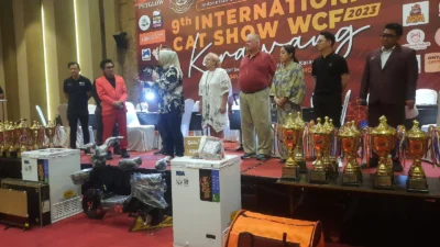 Ratusan Kucing Adu Kontes di Cat Show WCF