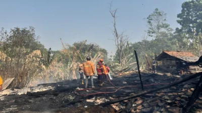 Kandang Ternak di Desa Tanjungwangi Cijambe Terbakar