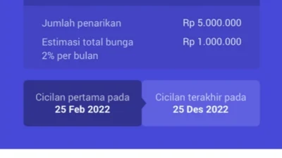 Cara Mengajukan Pinjam Pada Fitur Flexi Cash di Jenius