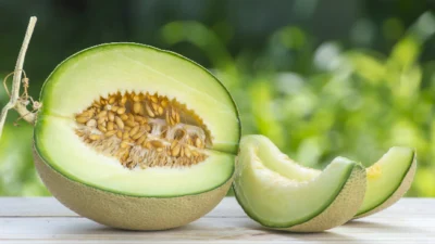 9 Manfaat Melon untuk Tubuh dan Kulit