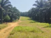 Warga Ingin Pembangunan Jalan Cipeundeuy-Serangpanjang Dilanjutkan