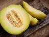 Manfaat Buah Melon yang Kaya Akan Nutrisi