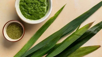 7 Manfaat Daun Pandan untuk Berbagai Hal, Terutama dalam Masakan. (Sumber Gambar: The Spruce Eats)