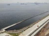 Melihat The Giant Sea Wall of Jakarta: Tembok Besar Pahlawan Lautan Kota Jakarta. (Sumber Gambar: BisnisPro)