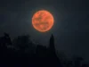 Fenomena Supermoon Terakhir 2023 Bakal "Eksis" 29 September 2023, Jangan Lupa Catat Jadwalnya! (Sumber Gambar: Travel + Leisure)