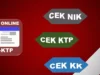 5 Cara Cek KTP Online, Mudah dan Terpercaya