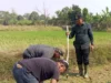 Dinas Pertanian Subang: Kekeringan Rugikan Petani Hingga Rp7,5 Miliar