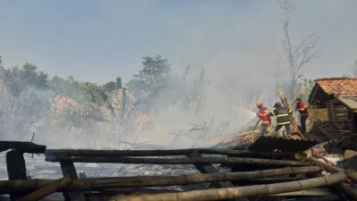 Kronologi Kandang dan Hewan Ternak di Tanjungwangi Hangus Terbakar