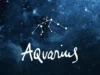 Zodiak Aquarius