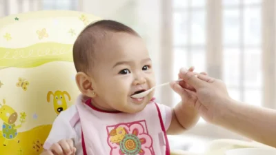 Rekomendasi Bubur Bayi