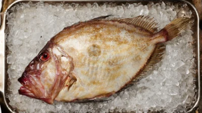 Perbedaan Ikan Dori dan Ikan Patin (Image From: Great British Chefs)