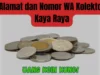 Ga Usah Bingung! Ini Nomor Hp Lengkap Kolektor Uang Koin Kuno dan Benda Kuno, Silahkan Hubungi segera!