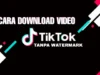 Download Video TikTok