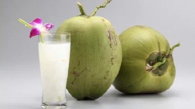 Kamu Belum Tahu! 7 Manfaat Air Kelapa Hijau dan Efek Sampingnya