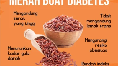 keunggulan dan Manfaat Beras Merah Bagi Kesehatan