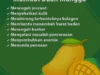 10 Manfaat Buah Mangga: Nutrisi Penting untuk Kesehatan Anda