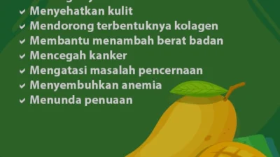 10 Manfaat Buah Mangga: Nutrisi Penting untuk Kesehatan Anda