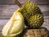 DINKES : Manfaat Durian Untuk Kesehatan, Penangkal Depresi Secara Alami