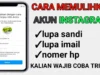 Cara Mengembalikan Akun Instagram yang Lupa Kata Sandi