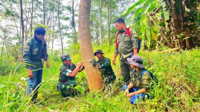 Macan Tutul di Lereng Gunung Sanggabuana Mangsa Lima Domba Milik Warga