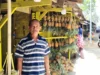 Musim Buah Lain jadi Penyebab, Pedagang Nanas Keluhkan Penurunan Penjualan