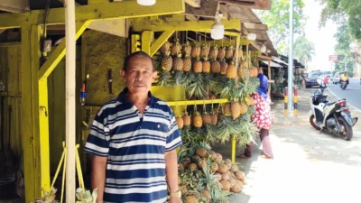 Musim Buah Lain jadi Penyebab, Pedagang Nanas Keluhkan Penurunan Penjualan