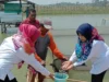 Dampak Kemarau Panjang, Petani dan Pembudidaya Ikan di Subang Merugi