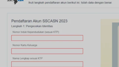 Begini Cara Mudah Daftar CPNS dan PPPK di sscasn.bkn.go.id 2023