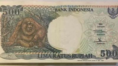 Uang Kertas 500 Gambar Orang Utan Banyak Diincar Kolektor Uang Kuno