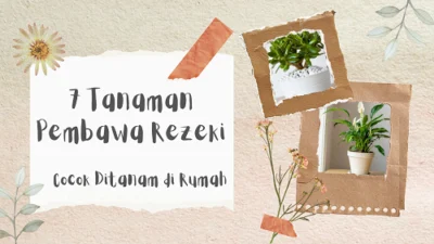 7 Tanaman Pembawa Rezeki, Cocok Ditanam di Rumah