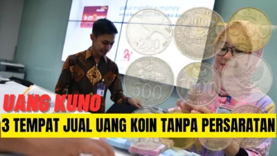 3 Kolektor Ini Siap Tampung Uang Koin Anda, Lengkap Dengan No WA dan Alamatnya.