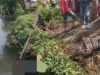 Mayat Perempuan Tanpa Identitas Ditemukan Mengapung Di Sungai, Berikut Ciri-cirinya
