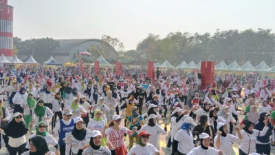 Semarak Hari Perhubungan Nasional Tingkat Kabupaten Subang Meriah, Ribuan Orang Meriahkan Senam Hingga Bazar UMKM