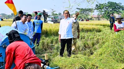 Jokowi Katakan Pasokan Beras Subang Dapat Menambah Cadangan Beras Nasional