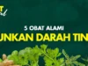 Rahasia Menurunkan Tekanan Darah Tinggi dengan Tanaman Herbal