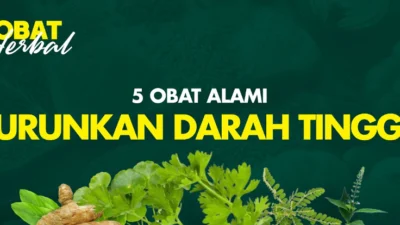 Rahasia Menurunkan Tekanan Darah Tinggi dengan Tanaman Herbal