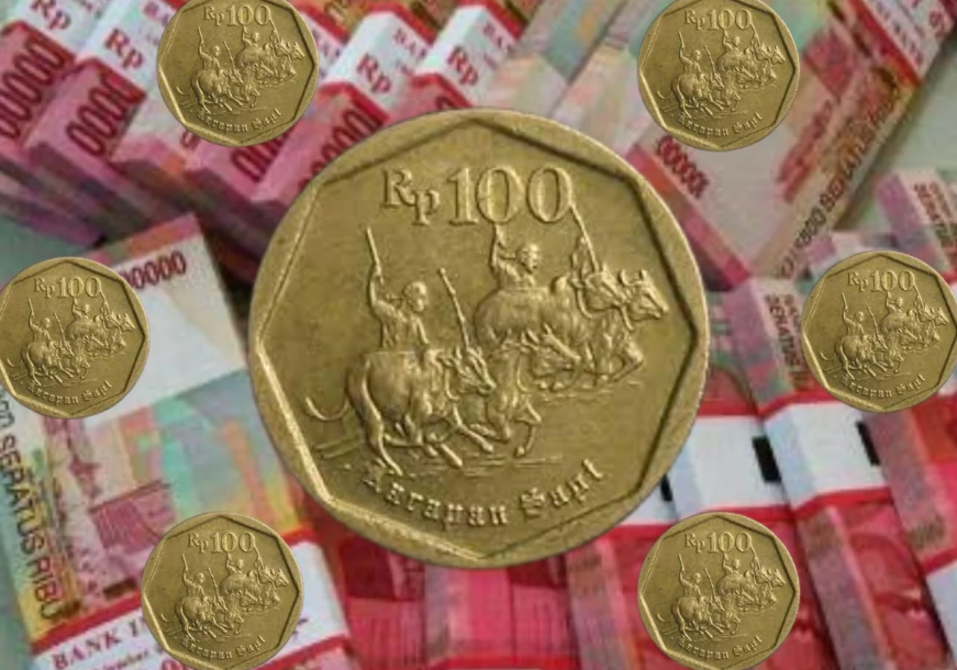 Harga Uang 100 Gambar Karapan Sapi Saat Ini Harganya Naik, Bikin