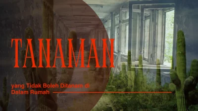 Tanaman yang Tidak Boleh Ditanam di Dalam Rumah