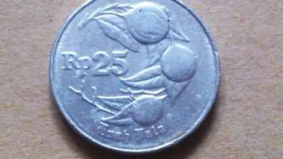 Uang Koin 25 Rupiah Tahun 1995 (Image From: Bukalapak/Lanny)