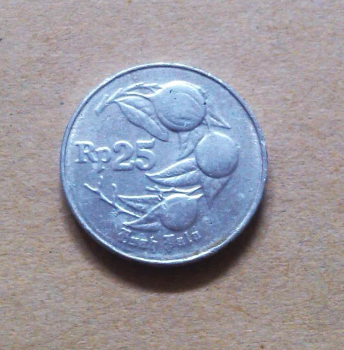 Cara Jual Uang Koin 25 Rupiah Tahun 1995, Bisa Jadi Tips Simpel Dapat ...