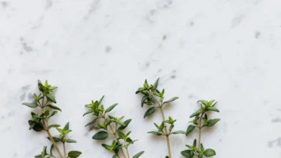 Manfaat Tanaman Thyme (Image From: Pexels/Karolina Grabowska)