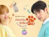 Sinopsis Drakor A Good Day to be A Dog, Drama Korea Fenomenal yang Seru Banget (Image From: Viu)