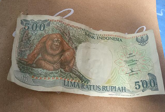 Misteri Uang 500 Monyet yang Berharga dengan Nilai yang Cukup Tinggi