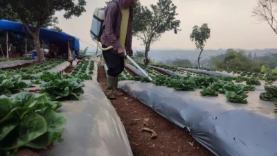 Kekeringan Akibat El Nino di Kabupaten Bandung Barat Makin Meluas