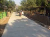 Desa Neglasari Bangun Jalan Cor Beton 100 Meter untuk Dukung Aktivitas Pertanian